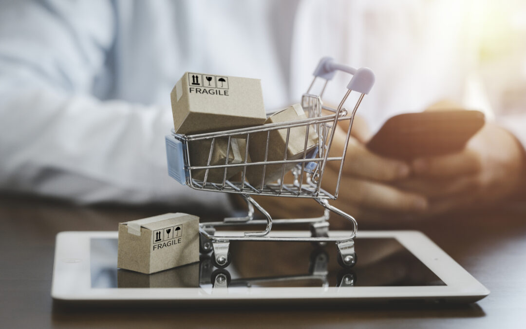 Einjährige Berufsfachschule Wirtschaft – Schwerpunkt E-Commerce