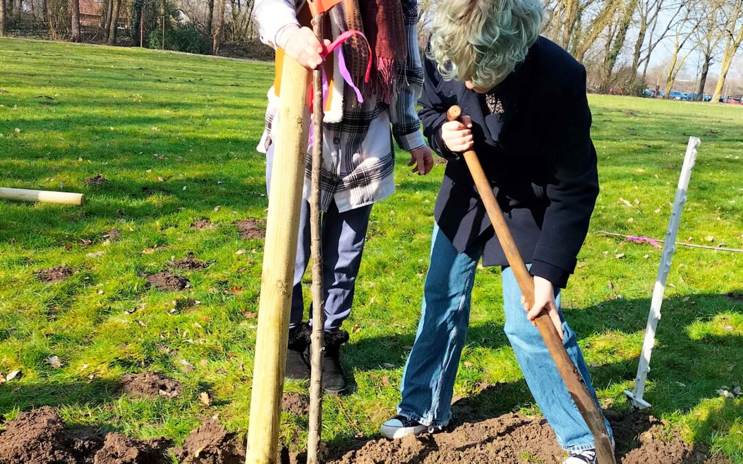 Neue Streuobstwiese an den BBS I in Leer gepflanzt